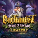 betsoft-enchanted-forest-of-fortune--hold--win