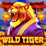 bgaming-wild-tiger