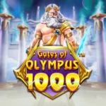 pg-asia-gates-of-olympus-1000