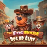 pg-asia-the-dog-house---dog-or-alive