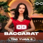 winfinity-tao-yuan-baccarat-5